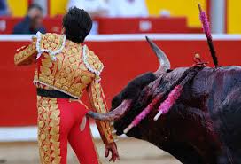 Matador Gored By Bull: Gored Matador Gored By Bull: Gored