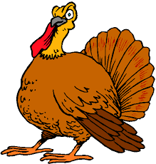 turkey turkey