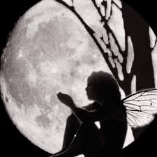 Looks as though this little fairy ...