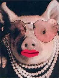 very ugly pig. very ugly pig.