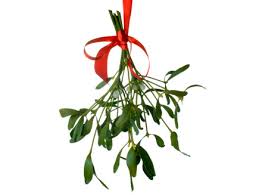 Sprigs of mistletoe hung with a red ...