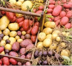 Agriculture, Potato Prices Agriculture, Potato Prices