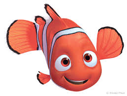 Nemo Nemo
