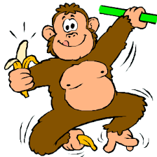 L'homme descend du singe, le singe ...